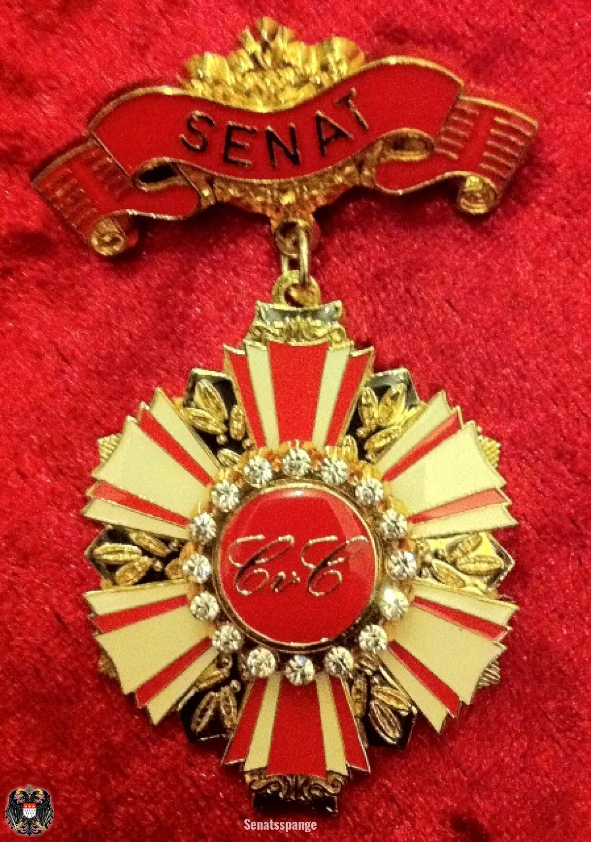 Senatsspange